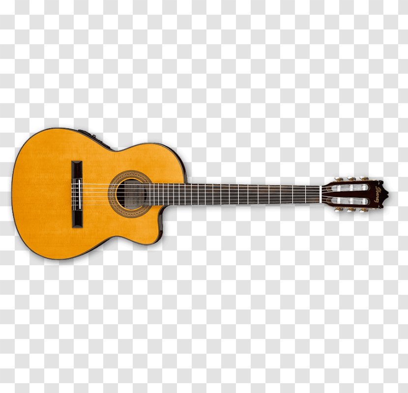 Classical Guitar Acoustic-electric Ibanez Acoustic - Frame Transparent PNG