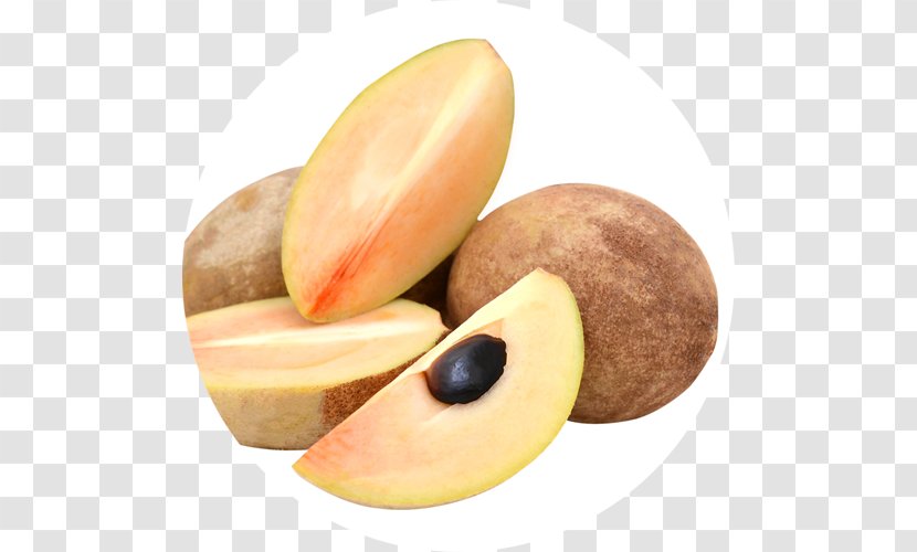 Sapodilla Tropical Fruit Nutrition Vegetable - Superfood Transparent PNG