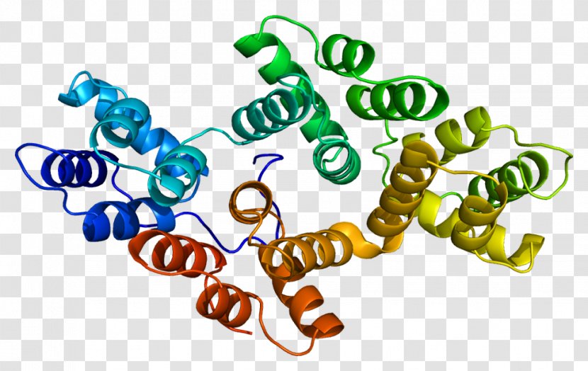 Annexin A2 A3 A5 Phospholipase - Cartoon - Flower Transparent PNG