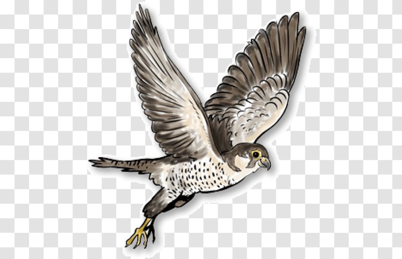 Russia Austral Pacific Energy () Limited Clip Art Image - Like Button - Falcon Transparent PNG
