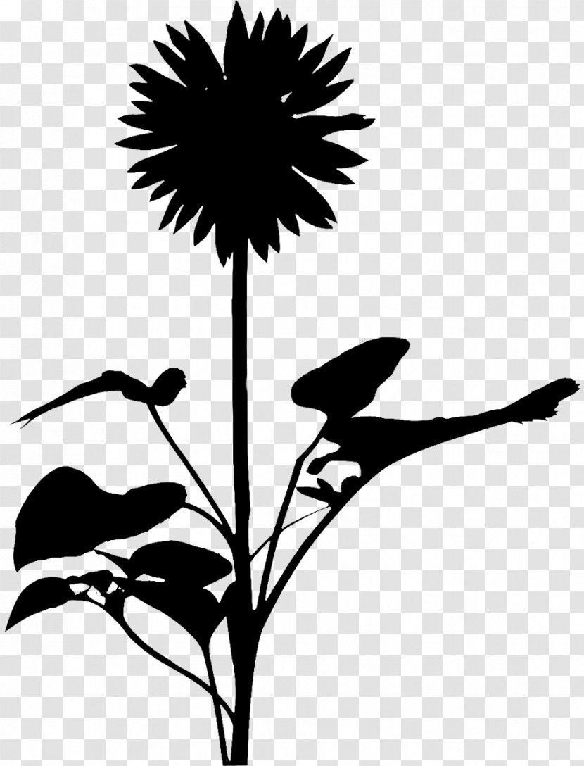 Clip Art Leaf Silhouette Plant Stem Flowering - Stencil Transparent PNG