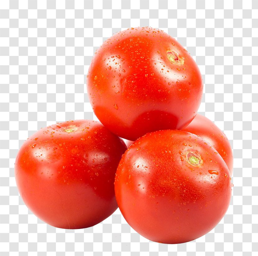 Plum Tomato Vegetarian Cuisine Bush - Superfood - Tomatoes HD Clips Transparent PNG