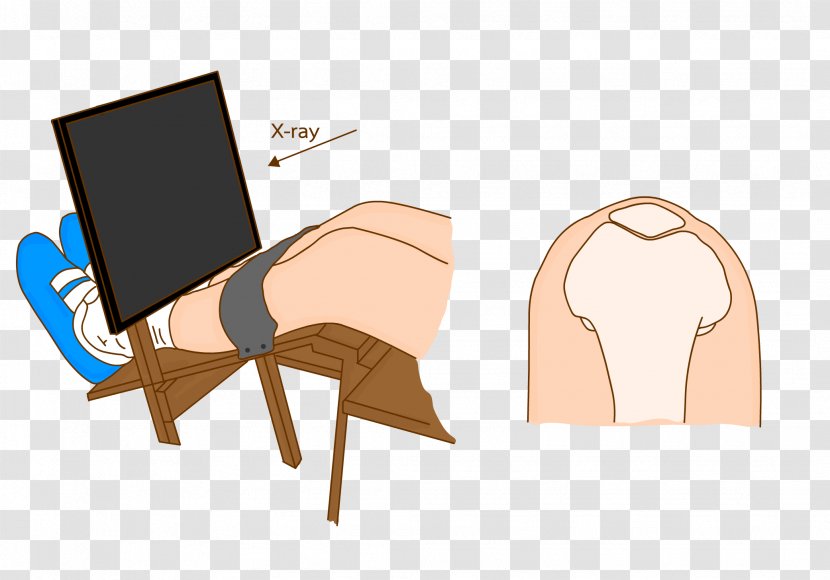 Table Cartoon - Meter - Ear Furniture Transparent PNG