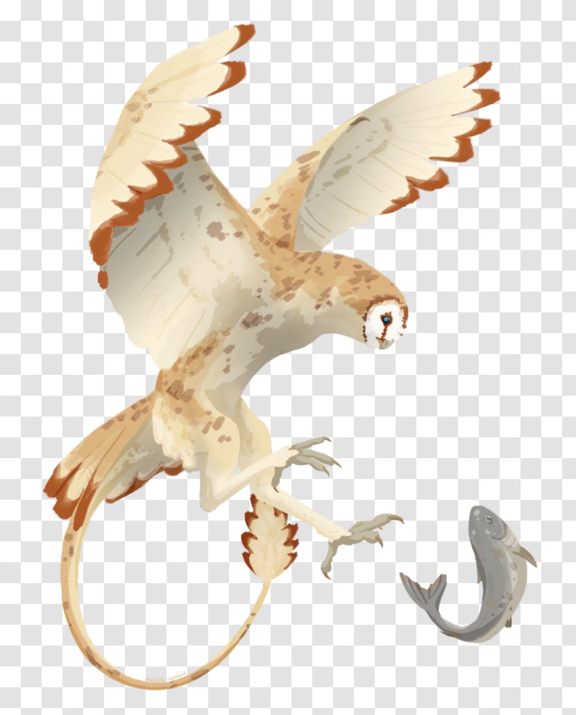 Eagle Beak Falcon Tail Transparent PNG