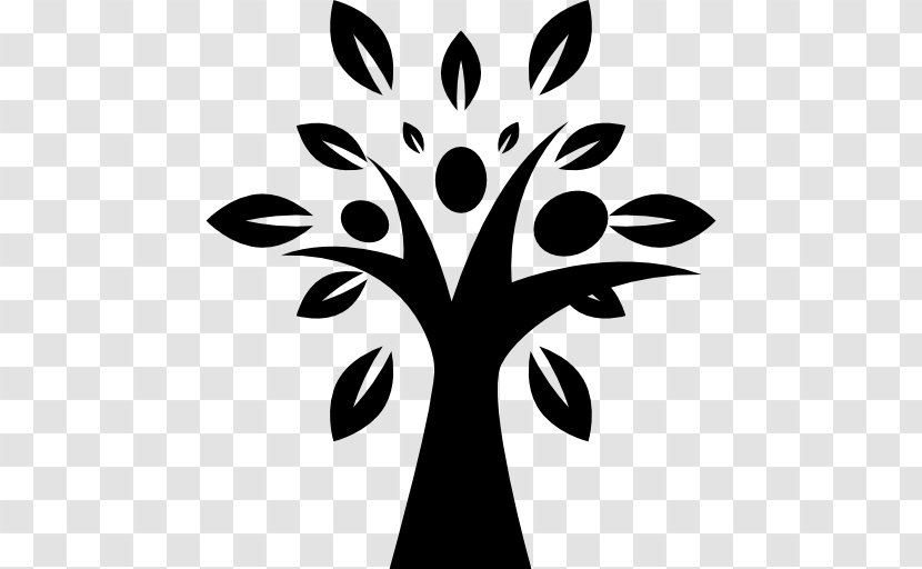 Tree - Symbol Transparent PNG