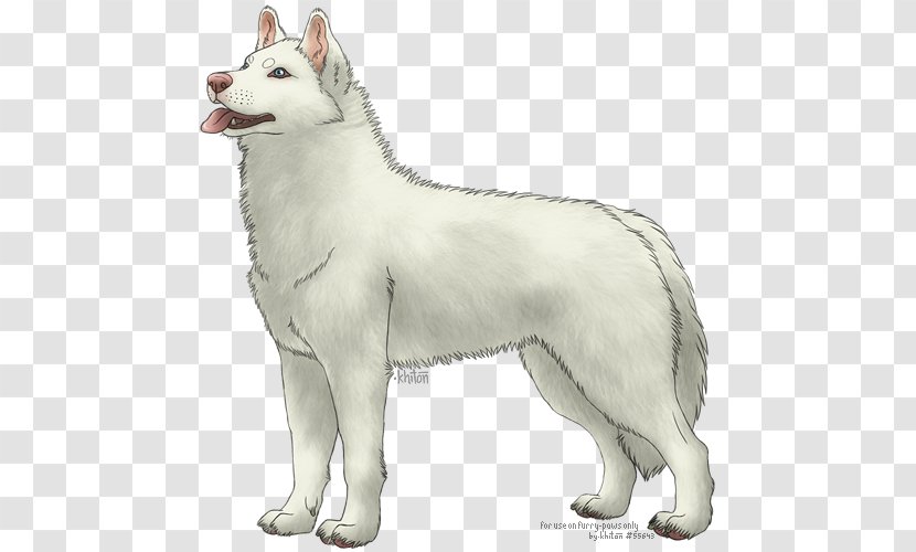 Saarloos Wolfdog Canadian Eskimo Dog Alaskan Malamute Korean Jindo West Siberian Laika - Utonagan - Husky Transparent PNG