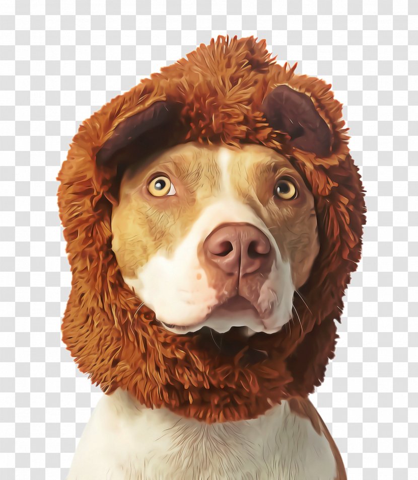 Halloween Cute Background - Costume Rare Breed Dog Transparent PNG