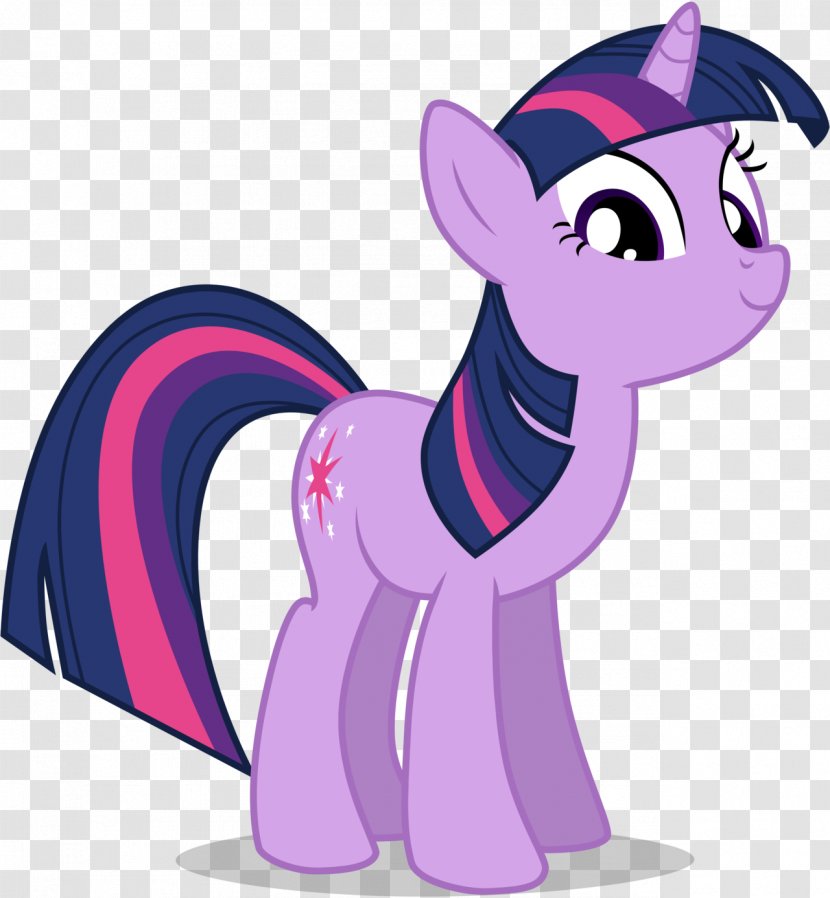 Twilight Sparkle Pinkie Pie Applejack Rarity Rainbow Dash Transparent PNG