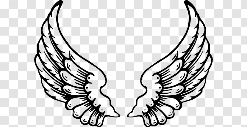 Drawing Clip Art - Line - Wings Cliparts Transparent PNG