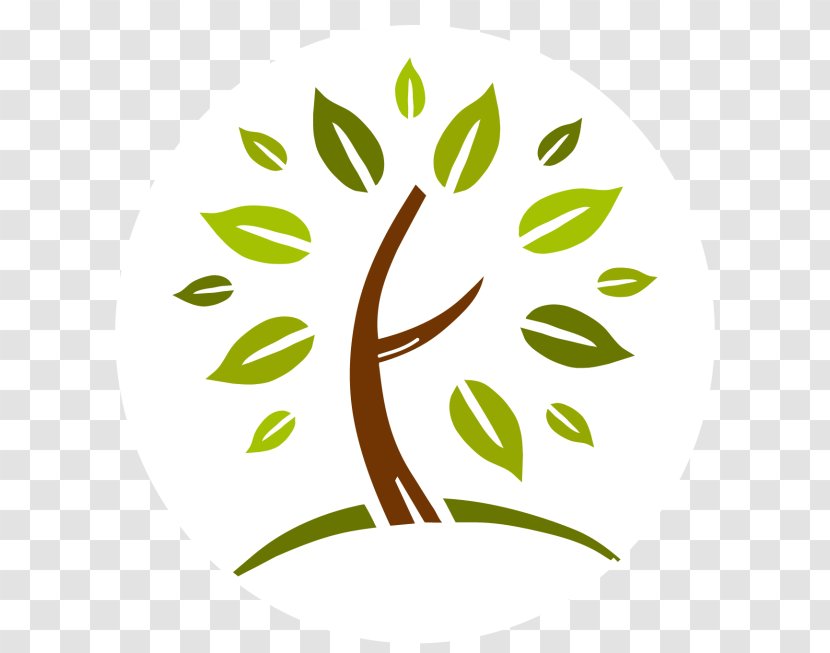 Green Day Logo - Leaf - Plant Stem Branch Transparent PNG