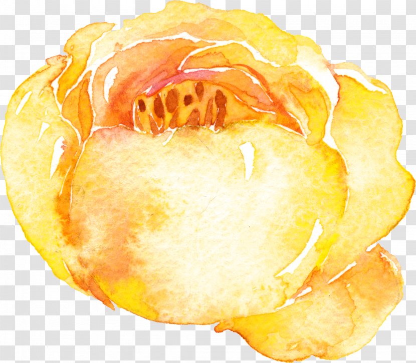 Yellow Watercolor Painting - Fruit - Flowers Transparent PNG