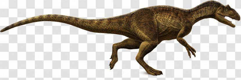 Tyrannosaurus Dinosaur Allosaurus Daspletosaurus Majungasaurus - Gregory S Paul Transparent PNG