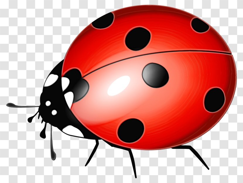 Ladybug - Ball - Beetle Transparent PNG