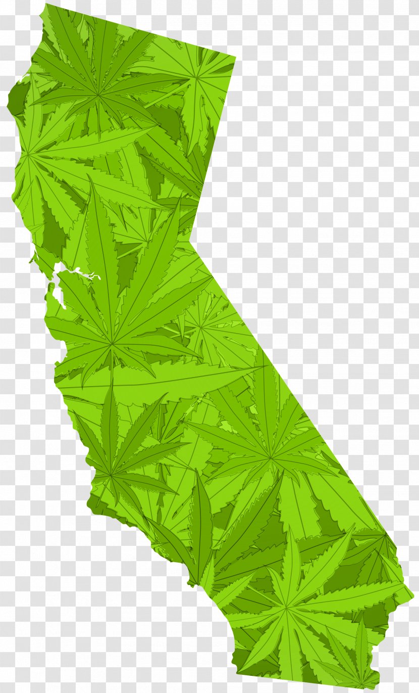 California Proposition 215 Medical Cannabis Legality Of Legalization - Marijuana Leaf Border Transparent PNG