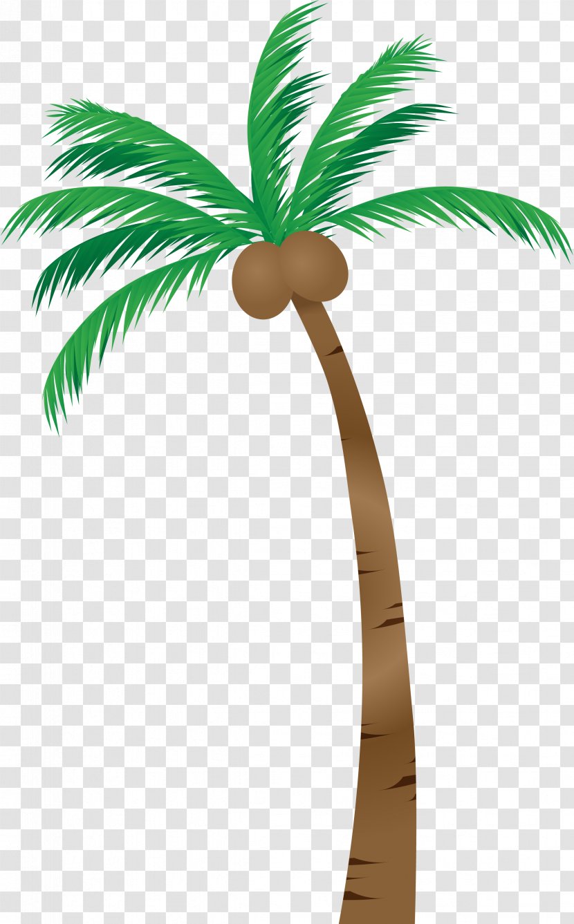 Palm Trees Asian Palmyra Illustration Image Coconut - Photography - Tree Transparent PNG