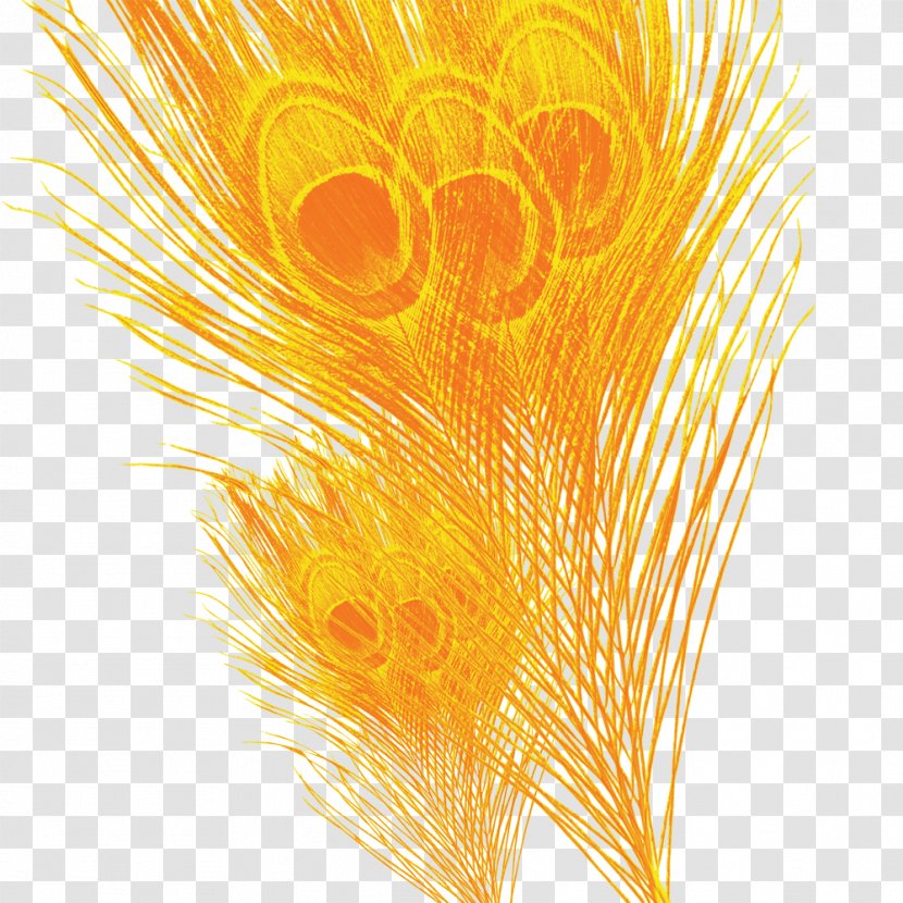 Feather Yellow - Material Transparent PNG