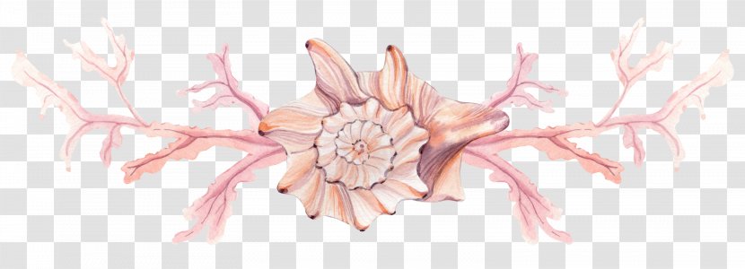 Painting Plant - Flower - Hand-painted Plants And Conch Transparent PNG