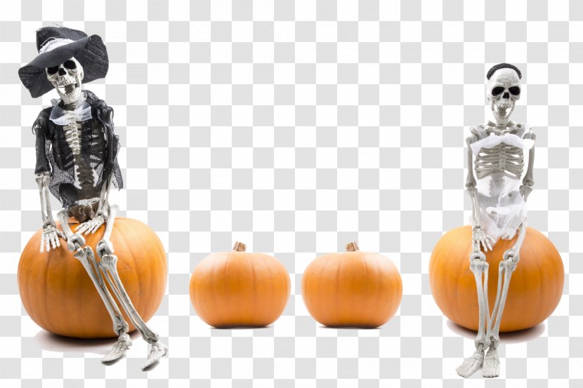 Pumpkins - Skeleton - Line Match 3 Halloween AndroidCreative Pumpkin Transparent PNG