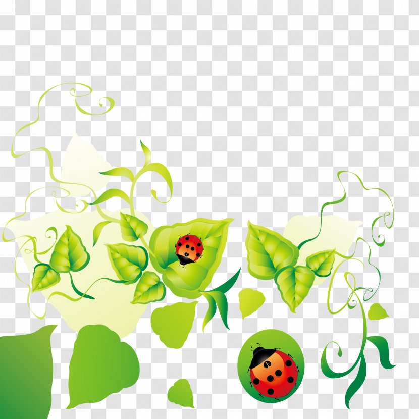 Floral Design Leaf Clip Art - Artwork - Ladybug Green Dew Decoration Borders Vector Material Transparent PNG