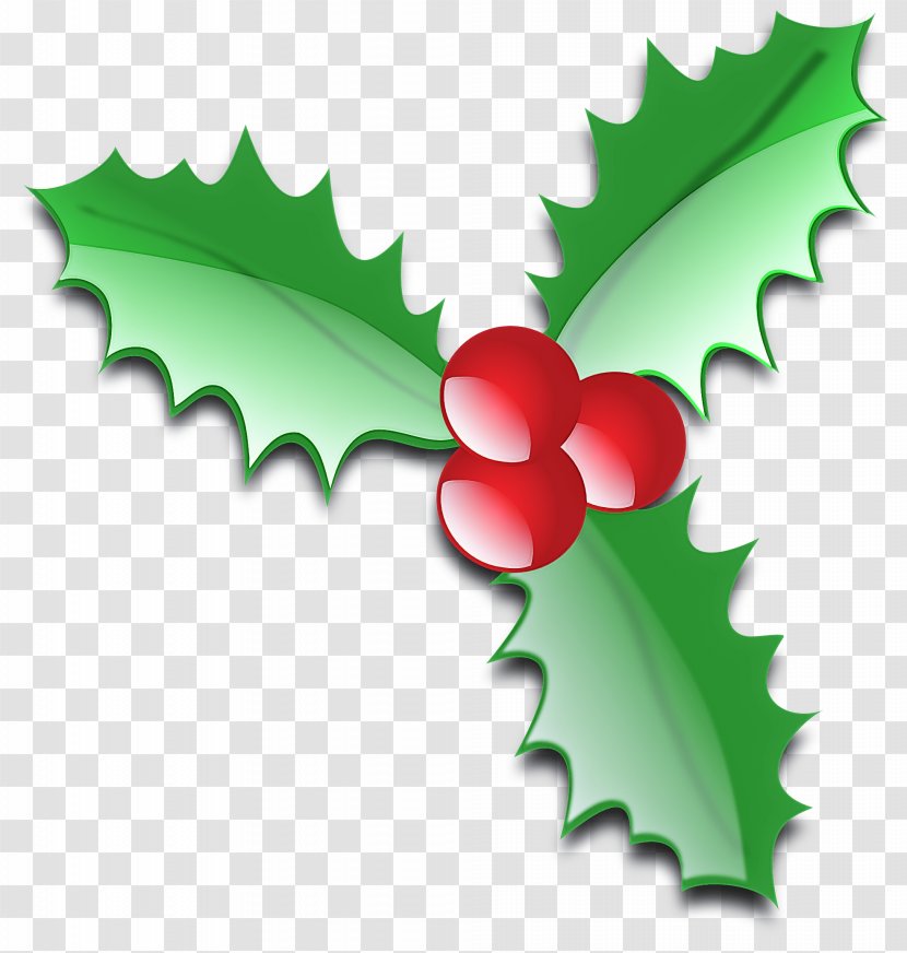 Holly - Flower Plant Transparent PNG