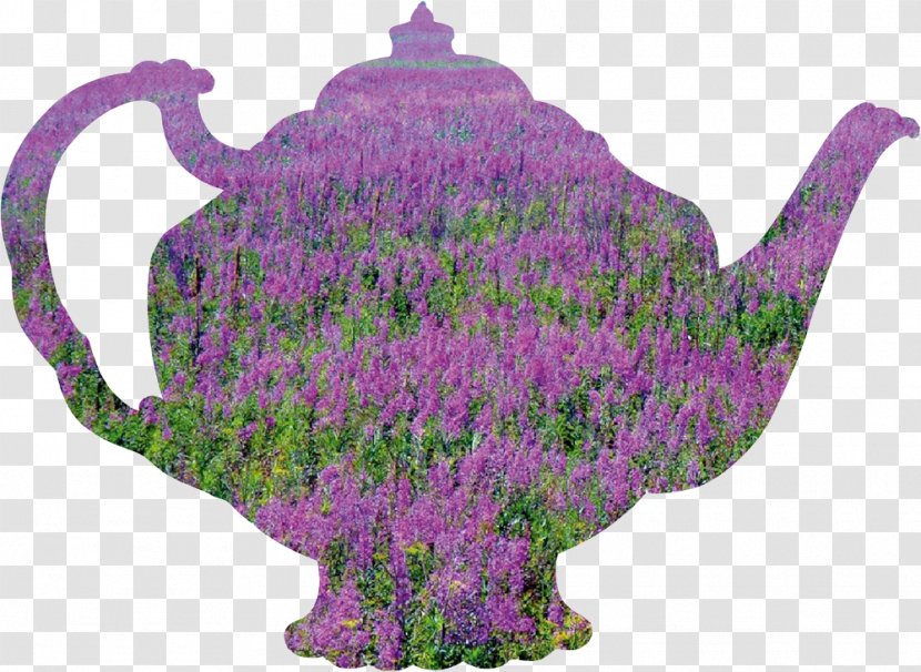 Lavender Flowerpot - Ivan Tea Transparent PNG