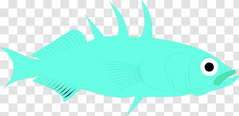 Marine Biology Deep Sea Fish Mammal Desktop Wallpaper Fauna - Seafood - Illustration Transparent PNG