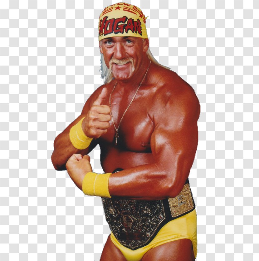 Hulk Hogan WCW World Heavyweight Championship Wrestling Professional Wrestler - Flower Transparent PNG