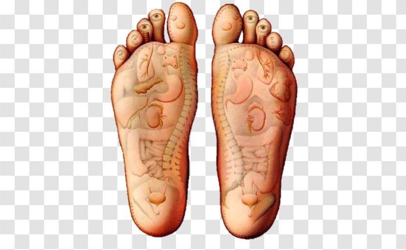 Reflexology Massage Foot Therapy Acupuncture - Heart - Health Transparent PNG