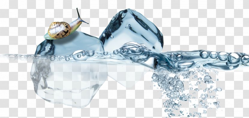 Ice Cube Icemaker Water Food - Green Transparent PNG