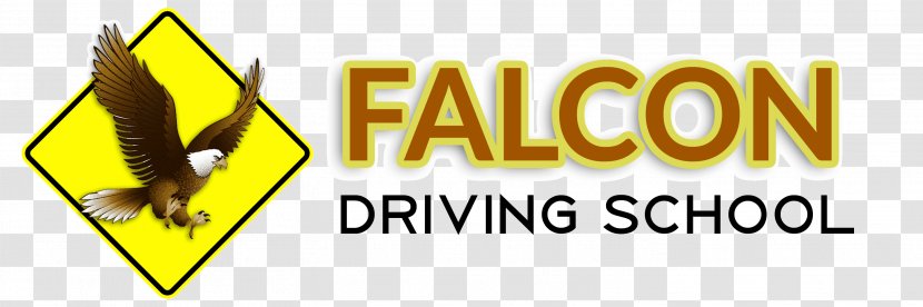 North Bergen Falcon All City Driving School Levelup Distribuzione Estetica Level Up Jersey Service - Brand Transparent PNG