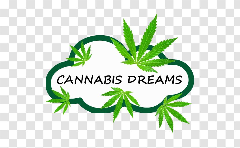 Cannabis Dreams Google Play Icomania Guess The Icon Quiz Android - Leaf Transparent PNG