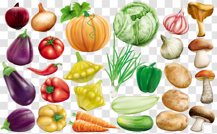 Thanksgiving Autumn Harvest Transparent PNG