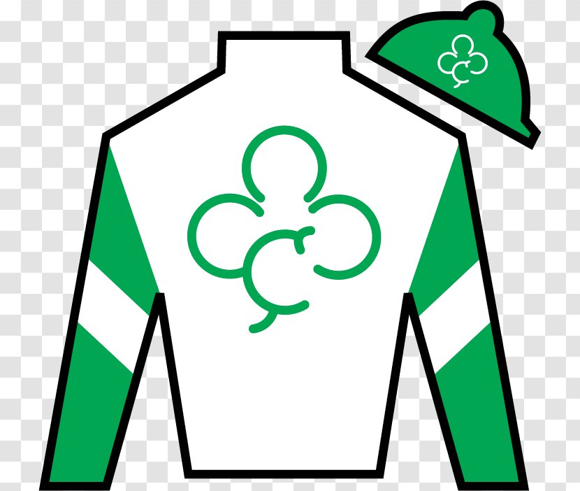 2017 Kentucky Derby 2016 Thoroughbred 2018 Breeders' Cup - Area Transparent PNG