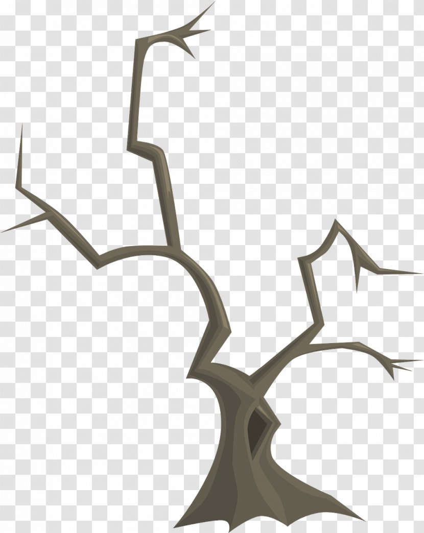 Twig Branch Tree Transparent PNG