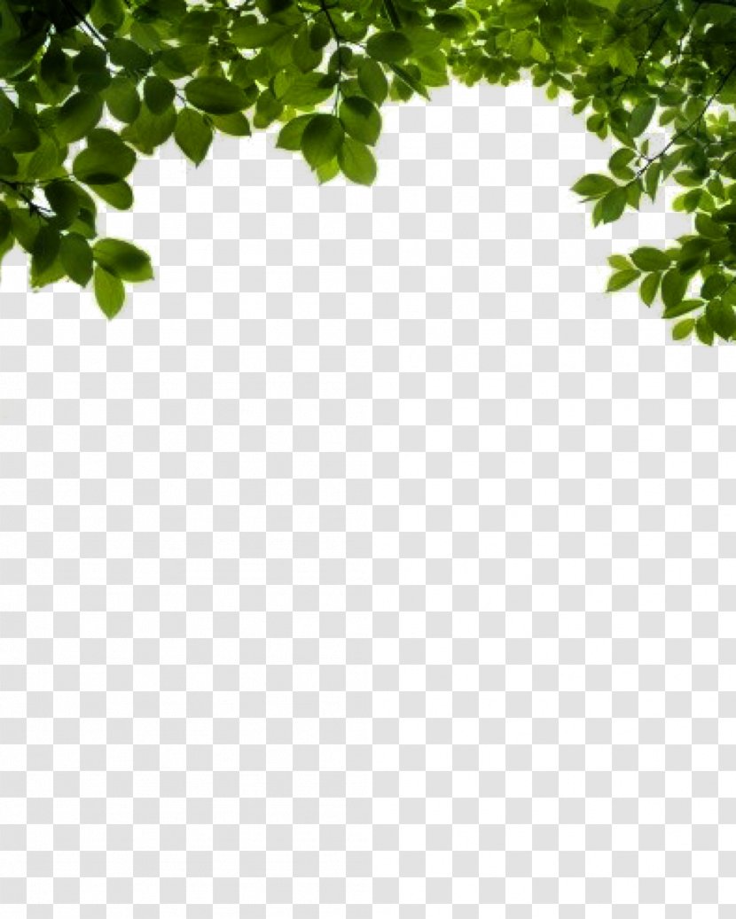 Leaf Clip Art - Green - Bush Image Transparent PNG