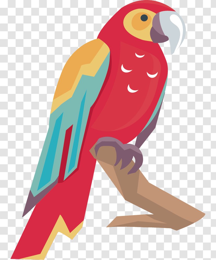 Lovebird Amazon Parrot Macaw Transparent PNG