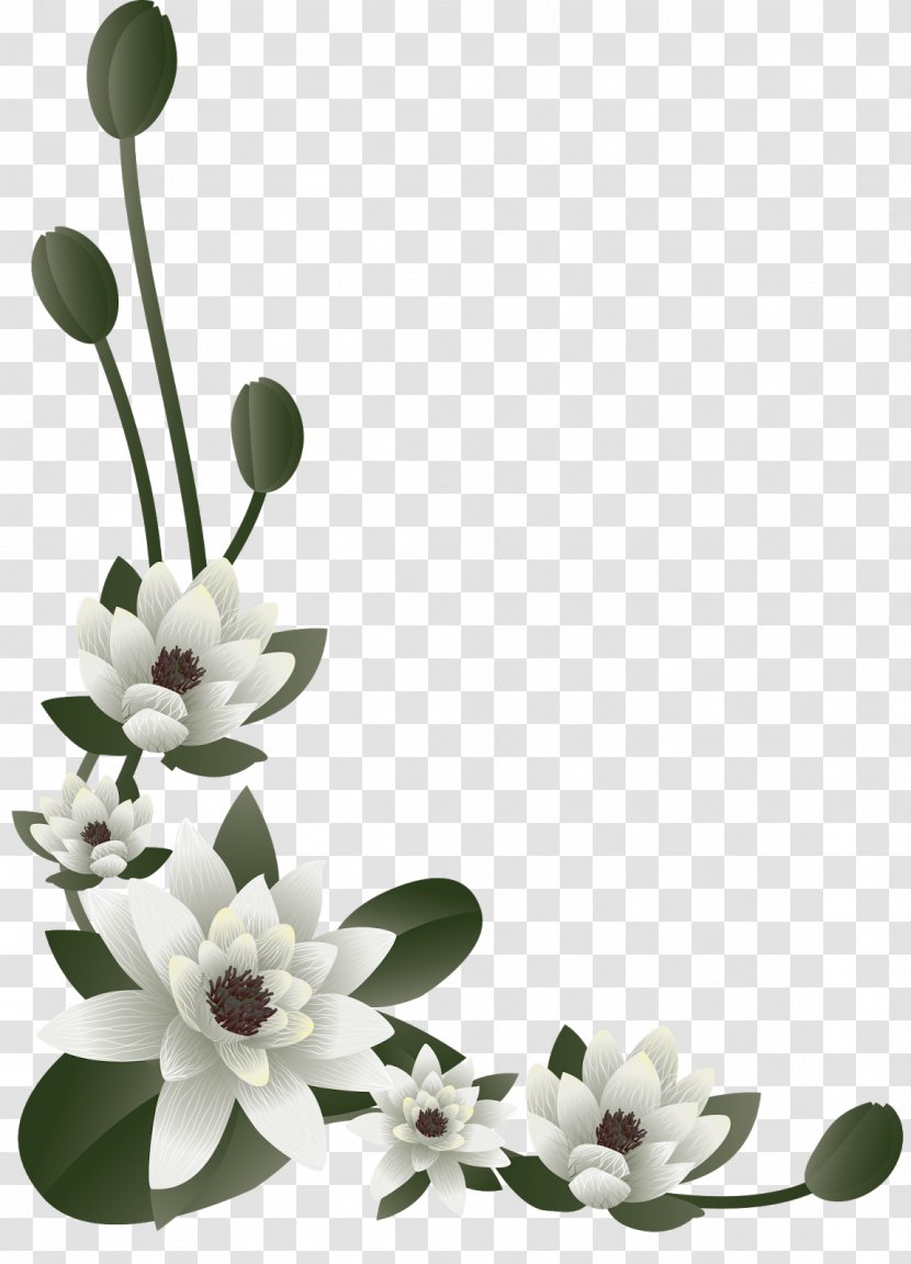 Flower Wedding Anniversary Convite Floral Design - Party - Frame Transparent PNG