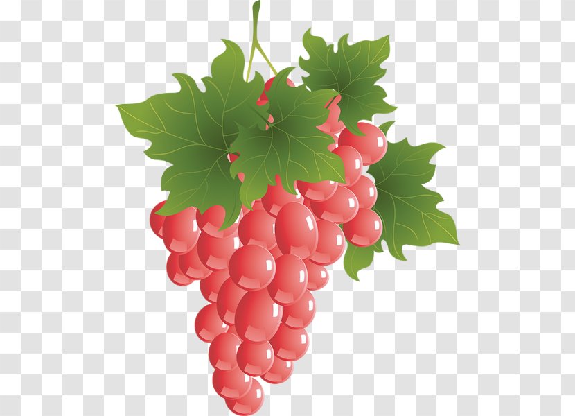 Sultana Zante Currant Grape Grappa Wine - Natural Foods - Raisin Transparent PNG