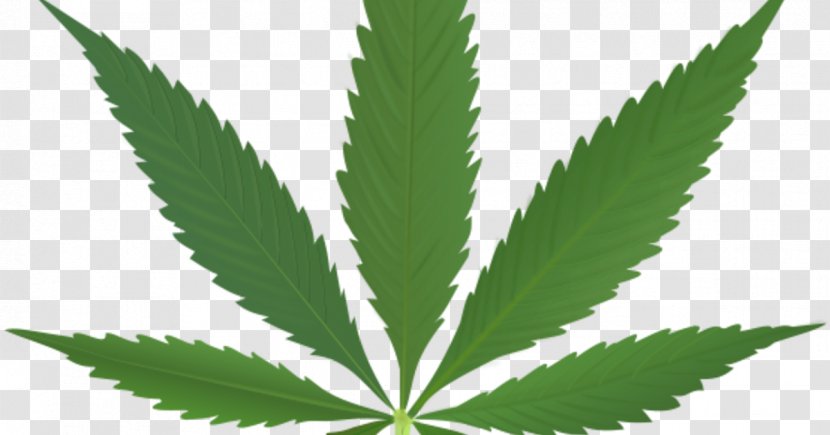 Cannabis Sativa Medical Leaf Smoking Transparent PNG