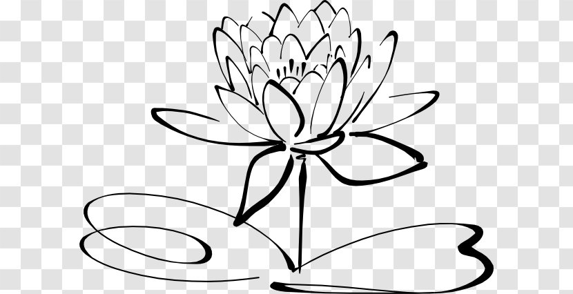 Drawing Line Art Black And White Clip - Monochrome Photography - Lotus Flower Transparent PNG