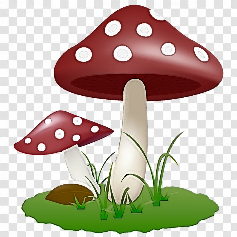 Mushroom Agaric Fungus Agaricaceae Agaricomycetes - Plant Transparent PNG