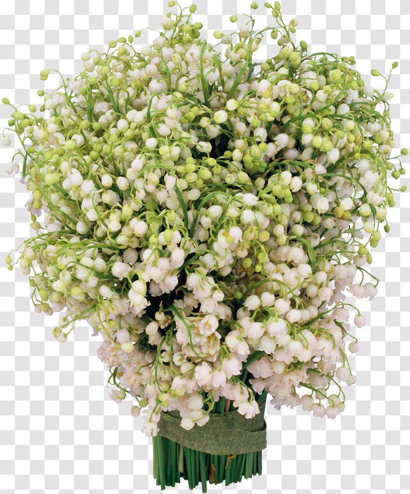 Lily Of The Valley Photography Flower Clip Art - Labour Day Transparent PNG