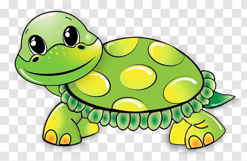 Green Sea Turtle Clip Art Vector Graphics Transparent PNG