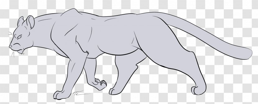 Lion Line Art Big Cat Drawing Transparent PNG