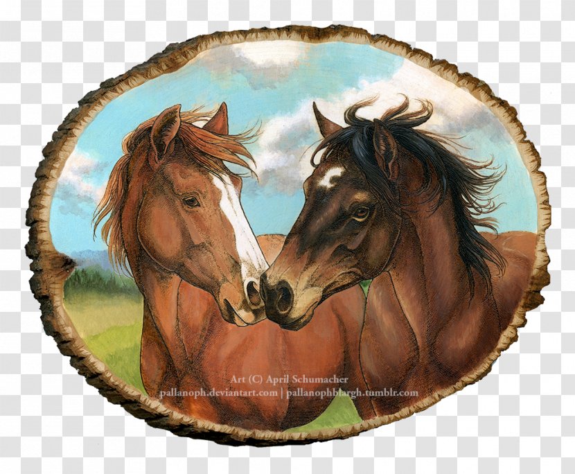 Mustang Foal Stallion Pony Halter - Mane - Golden Texture Shading Pictures Transparent PNG