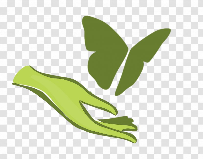 Butterfly The Heights - Plant - Chemical Dependency Treatment Facillity Therapy Hospital Health CareHand Painted Green Logo Transparent PNG