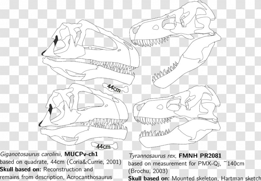 Mammal Line Art Sketch - Fiction - Shoe Transparent PNG