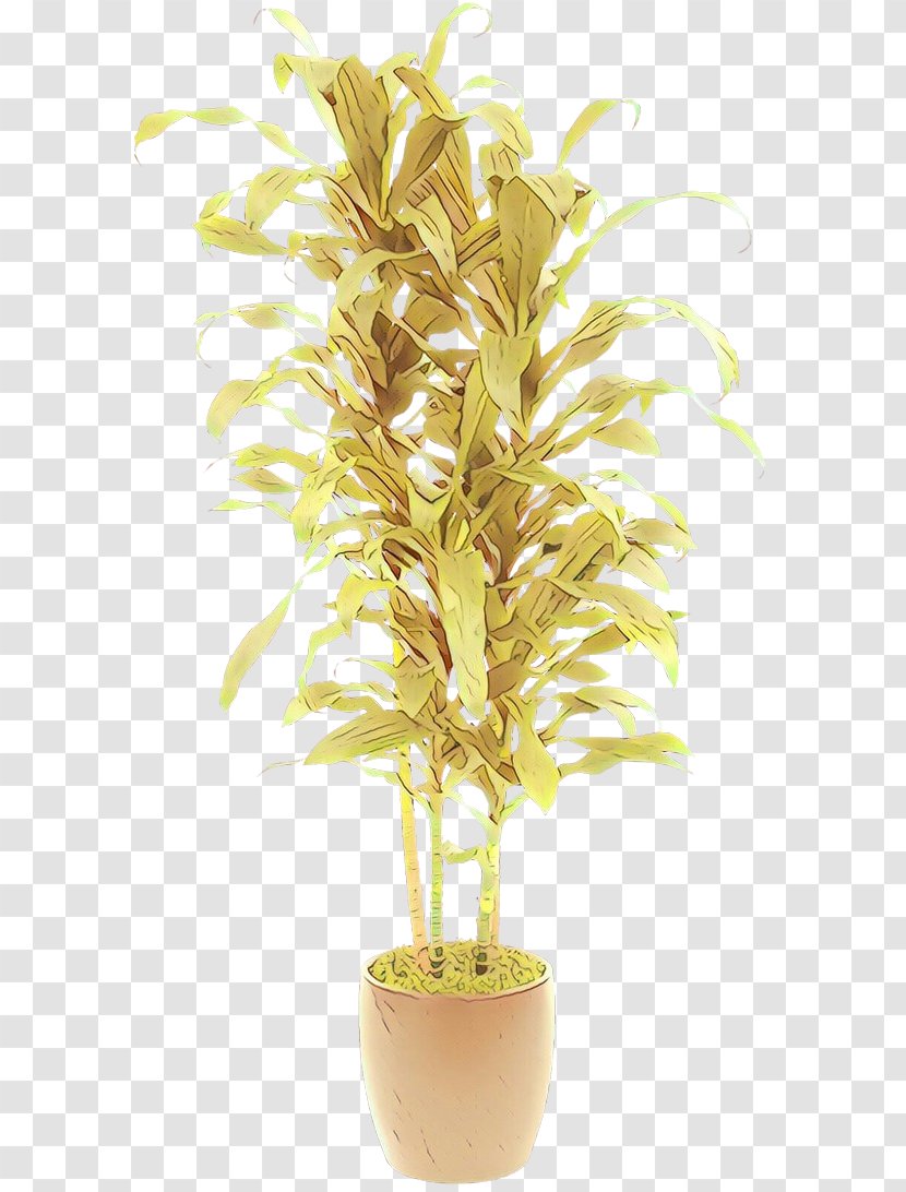 Flowerpot Tree Arecales Houseplant - Plant Stem Transparent PNG
