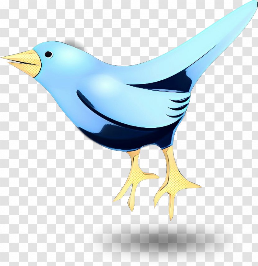 Beak Clip Art Flightless Bird Illustration - Wing Transparent PNG