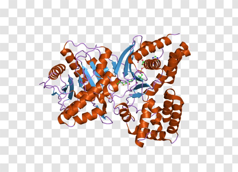 Choline Acetyltransferase Acetylcholine Enzyme - Silhouette - Tree Transparent PNG
